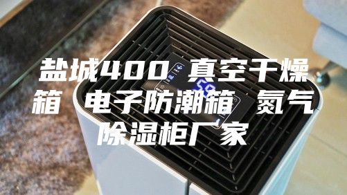 盐城400℃真空干燥箱 电子防潮箱 氮气除湿柜厂家