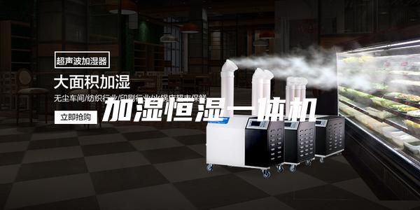 加湿恒湿一体机
