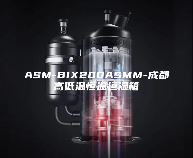 ASM-BIX200ASMM-成都高低温恒温恒湿箱