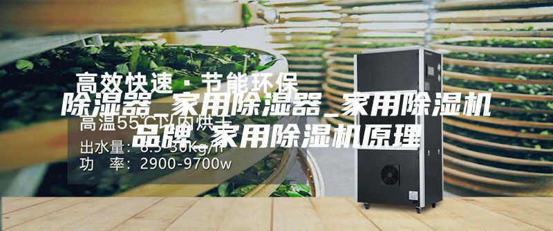 除湿器_家用除湿器_家用除湿机品牌_家用除湿机原理