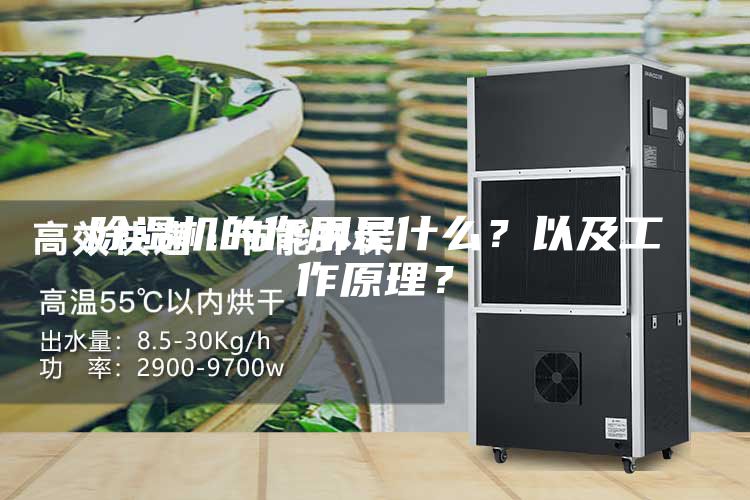 除湿机的作用是什么？以及工作原理？