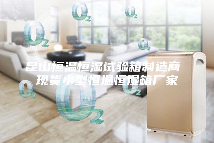 昆山恒温恒湿试验箱制造商 现货小型恒温恒湿箱厂家