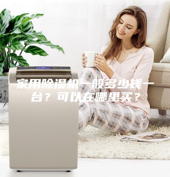 家用除湿机一般多少钱一台？可以在哪里买？
