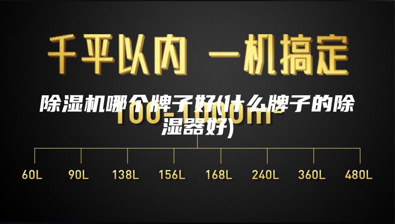 除湿机哪个牌子好(什么牌子的除湿器好)