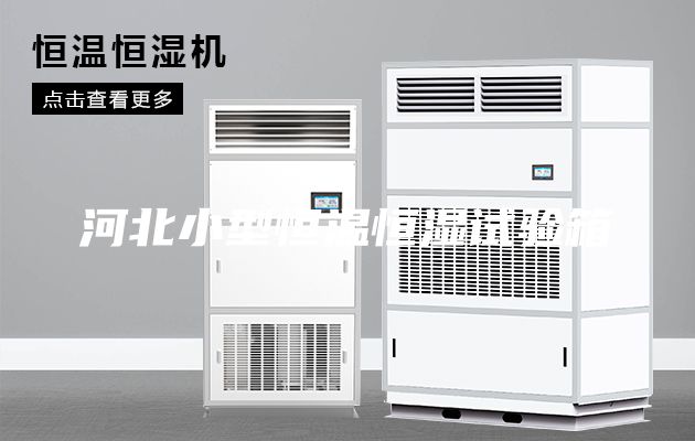 河北小型恒温恒湿试验箱