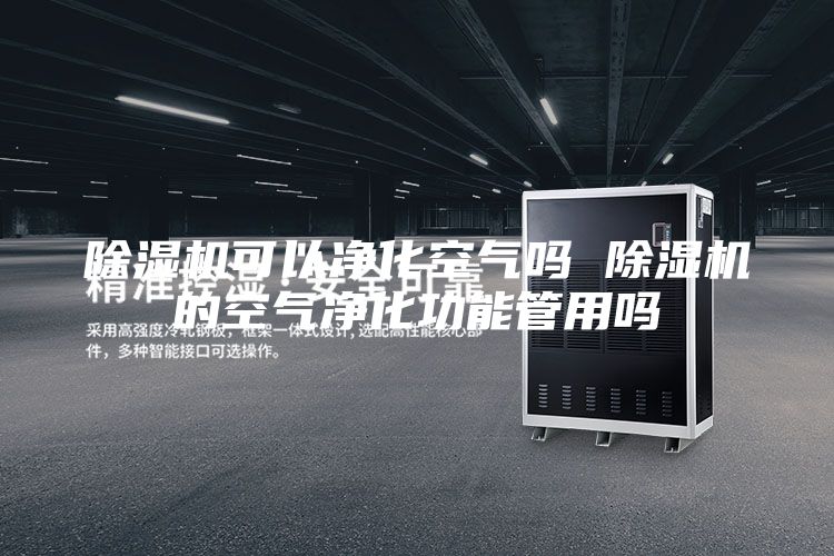除湿机可以净化空气吗 除湿机的空气净化功能管用吗