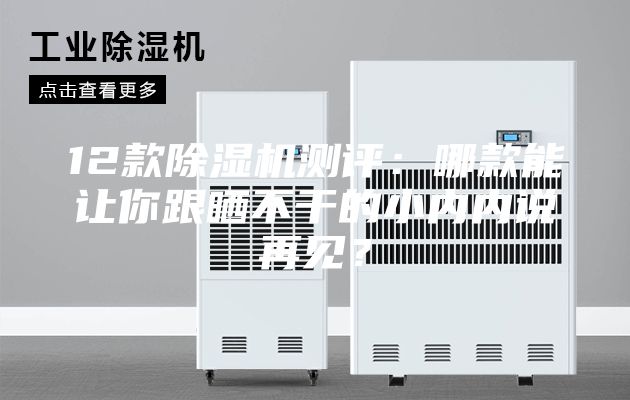 12款除湿机测评：哪款能让你跟晒不干的小内内说再见？