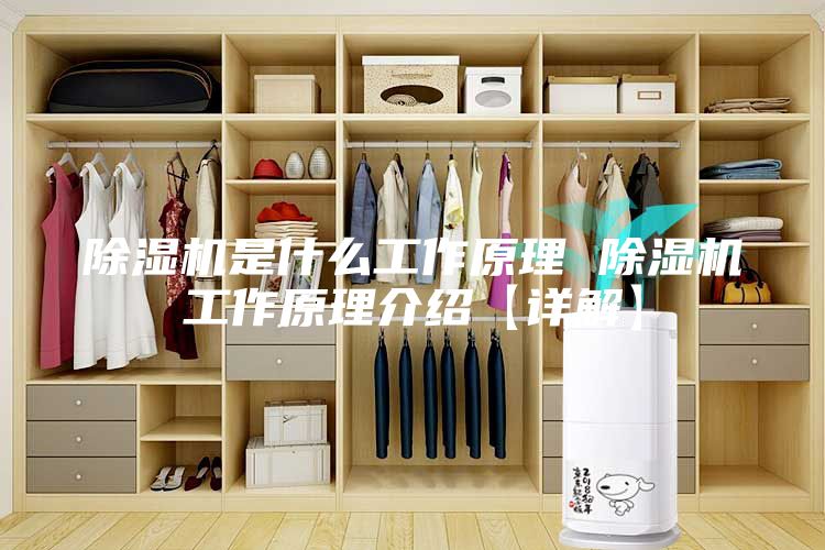 除湿机是什么工作原理 除湿机工作原理介绍【详解】
