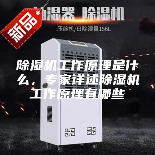 除湿机工作原理是什么，专家详述除湿机工作原理有哪些