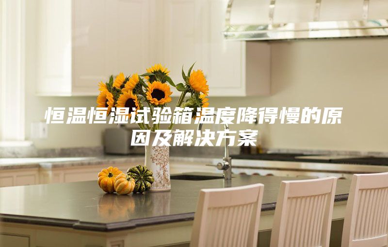 恒温恒湿试验箱温度降得慢的原因及解决方案