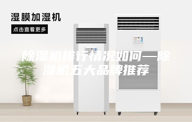 除湿机排行情况如何—除湿机五大品牌推荐