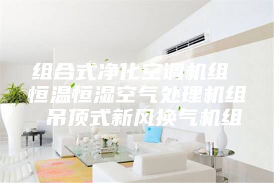 组合式净化空调机组 恒温恒湿空气处理机组 吊顶式新风换气机组