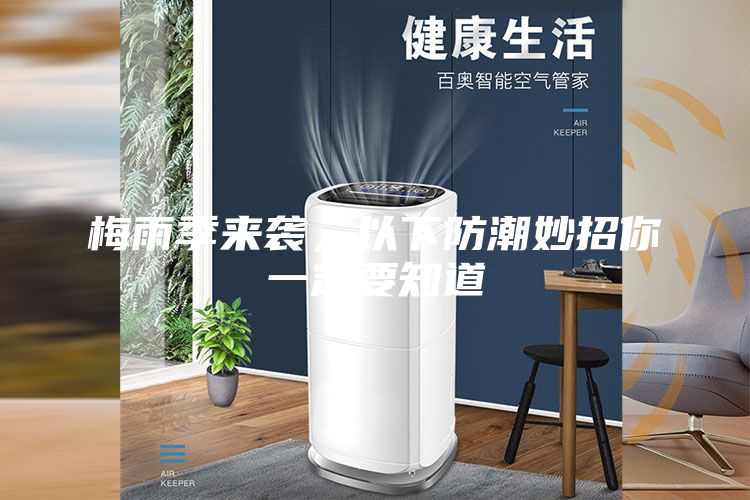 梅雨季来袭，以下防潮妙招你一定要知道