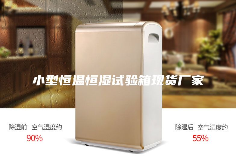 小型恒温恒湿试验箱现货厂家