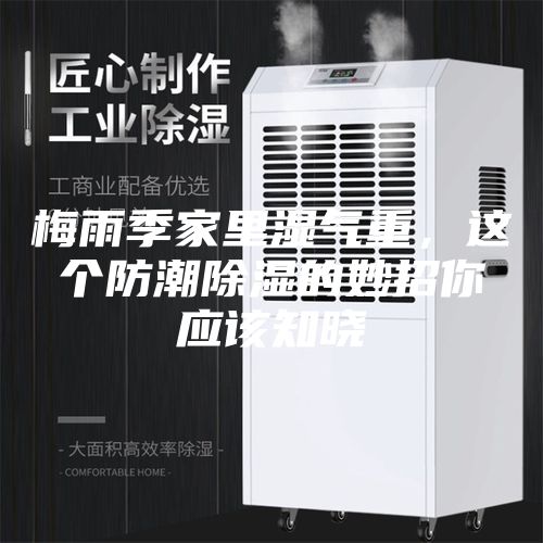 梅雨季家里湿气重,这个防潮除湿的妙招你应该知晓