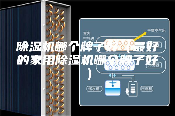 除湿机哪个牌子好（最好的家用除湿机哪个牌子好）