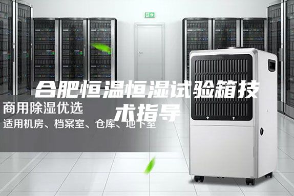 合肥恒温恒湿试验箱技术指导