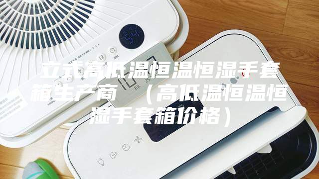 立式高低温恒温恒湿手套箱生产商 (高低温恒温恒湿手套箱价格)