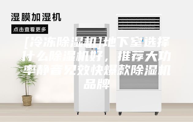 [冷冻除湿机]地下室选择什么除湿机好，推荐大功率静音见效快爆款除湿机品牌