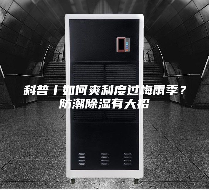 科普丨如何爽利度过梅雨季？防潮除湿有大招