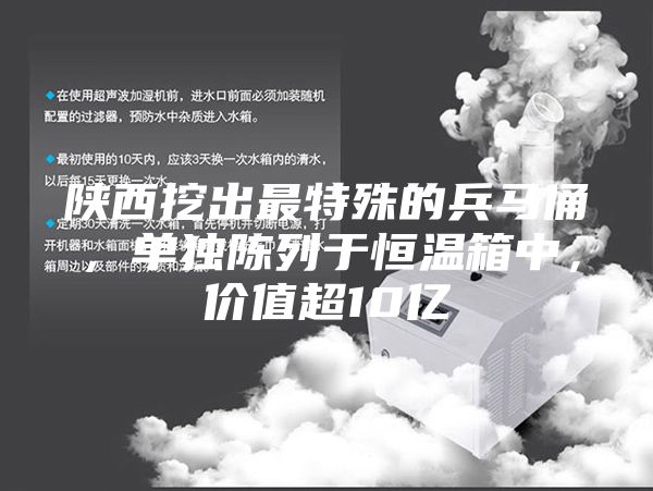 陕西挖出最特殊的兵马俑，单独陈列于恒温箱中，价值超10亿