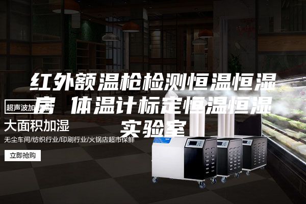 红外额温枪检测恒温恒湿房 体温计标定恒温恒湿实验室