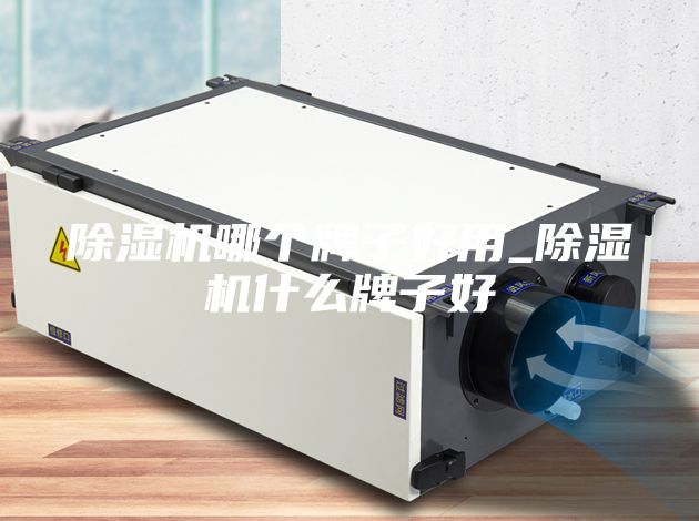 除湿机哪个牌子好用_除湿机什么牌子好
