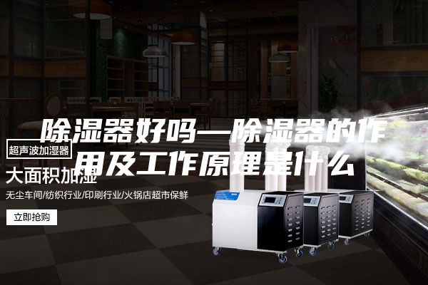 除湿器好吗—除湿器的作用及工作原理是什么