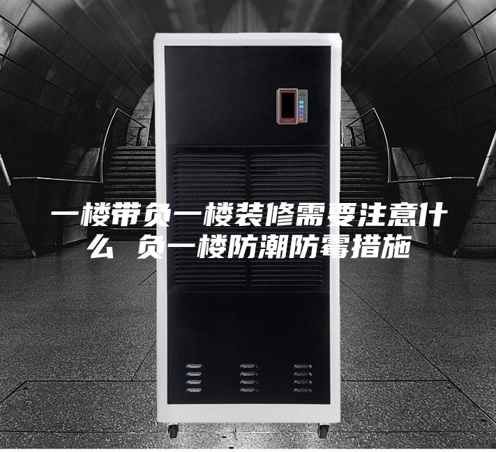 一楼带负一楼装修需要注意什么 负一楼防潮防霉措施