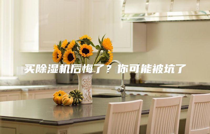 买除湿机后悔了？你可能被坑了
