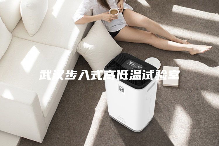 武汉步入式高低温试验室