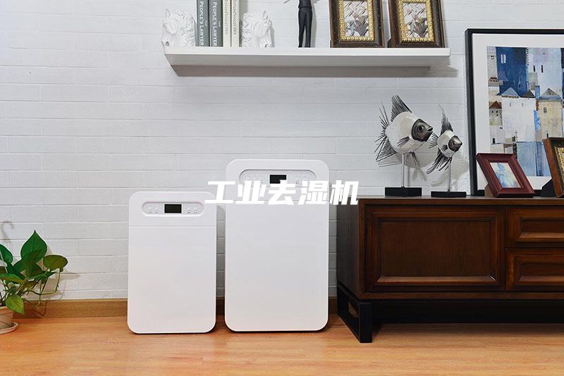 工业去湿机