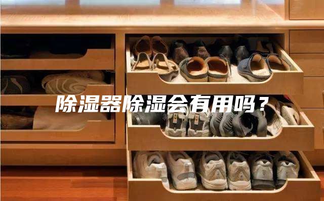 除湿器除湿会有用吗?
