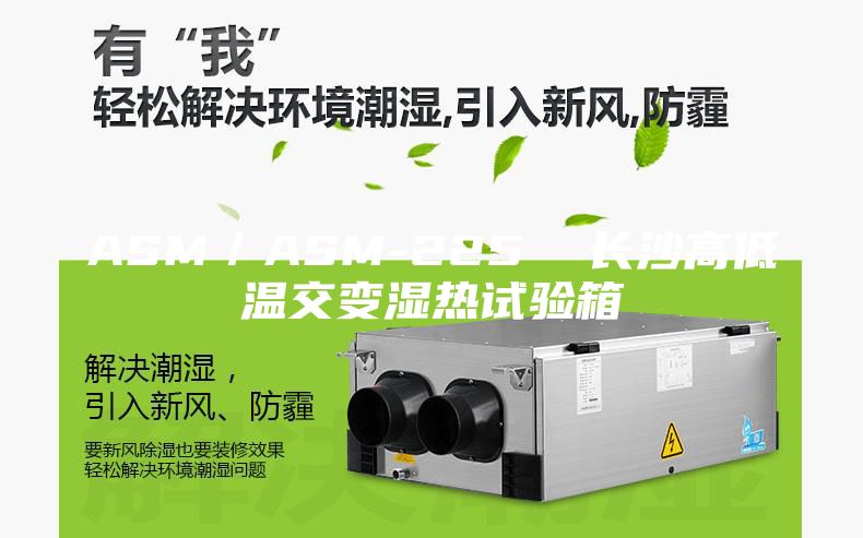 ASM/ASM-225 长沙高低温交变湿热试验箱
