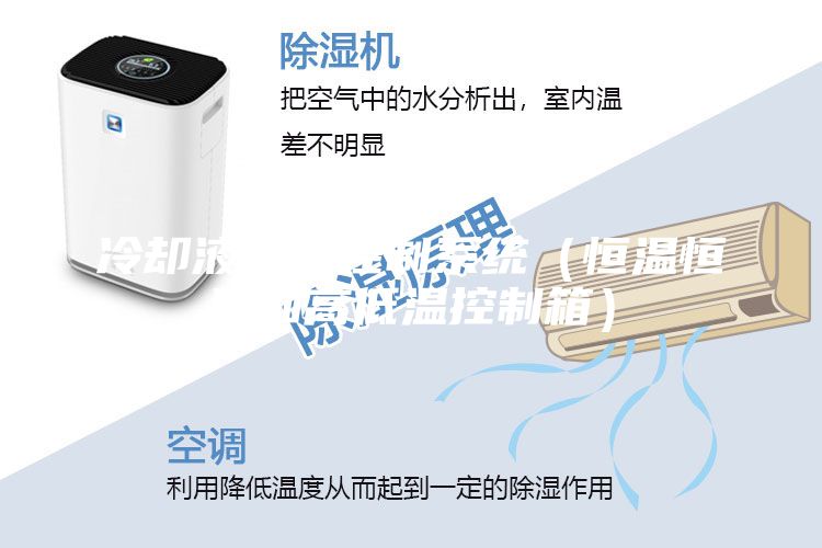 冷却液温度控制系统（恒温恒压和高低温控制箱）