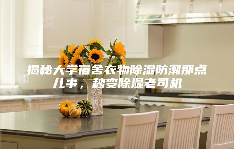 揭秘大学宿舍衣物除湿防潮那点儿事,秒变除湿老司机