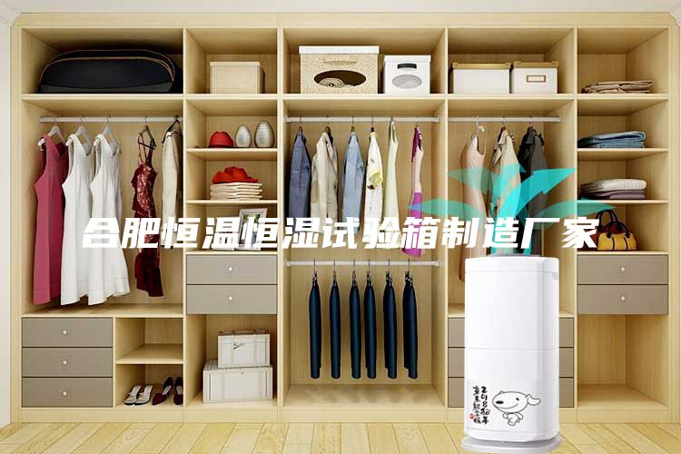 合肥恒温恒湿试验箱制造厂家