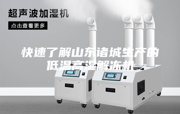 快速了解山东诸城生产的低温高湿解冻机