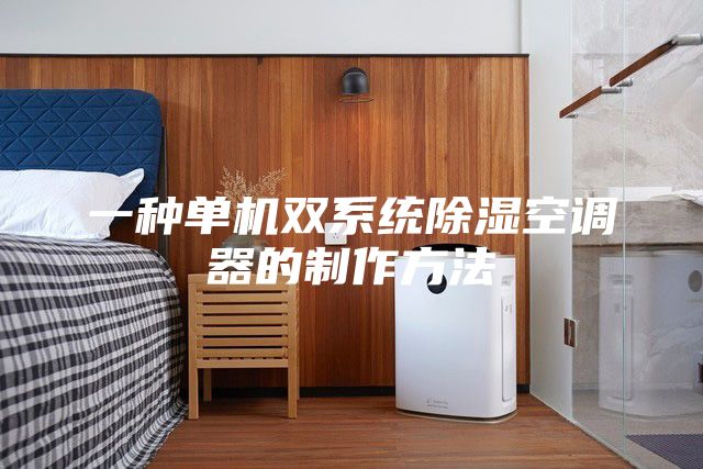 一种单机双系统除湿空调器的制作方法