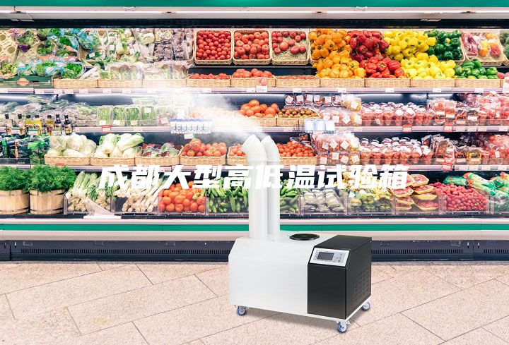 成都大型高低温试验箱