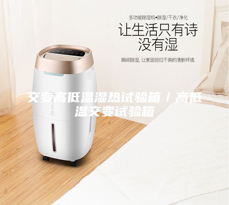 交变高低温湿热试验箱/高低温交变试验箱